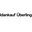 Goldankauf Überlingen logo